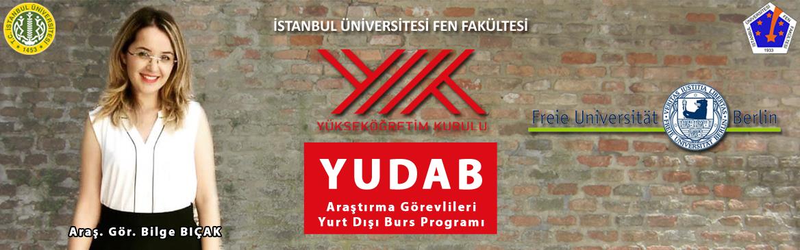 bilge-bıçak yök yudab