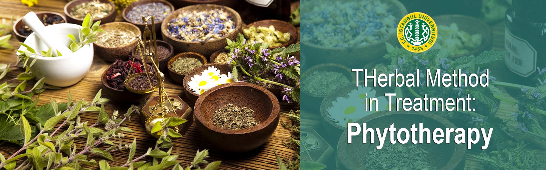 Herbal-Method-in-Treatment:-Phytotherapy
